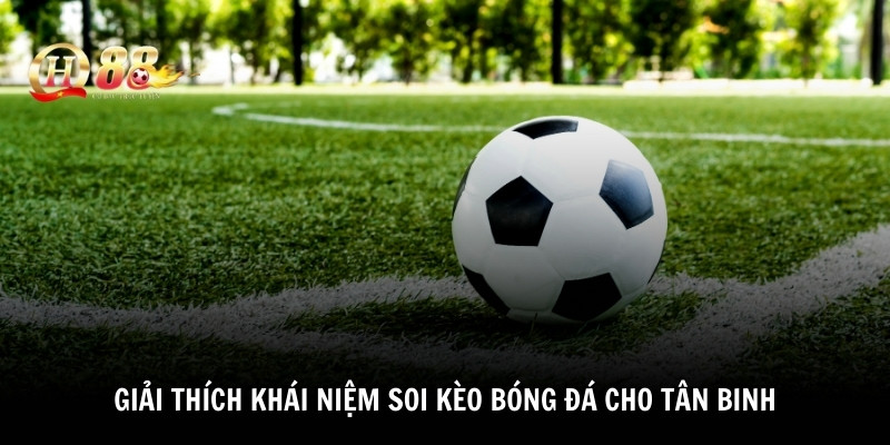 Giải thích khái niệm soi kèo bóng đá cho tân binh