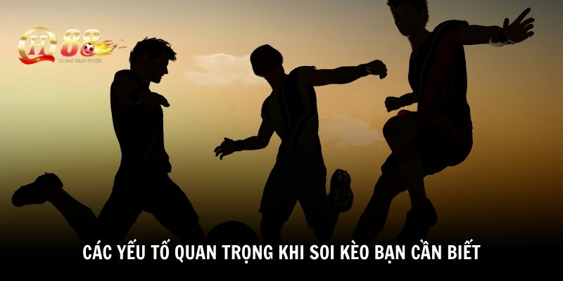 Các yếu tố quan trọng khi soi kèo bạn cần biết
