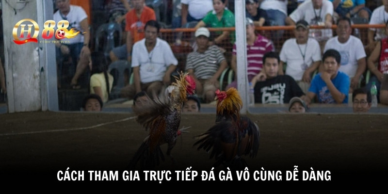 Cách tham gia trực tiếp đá gà vô cùng dễ dàng 
